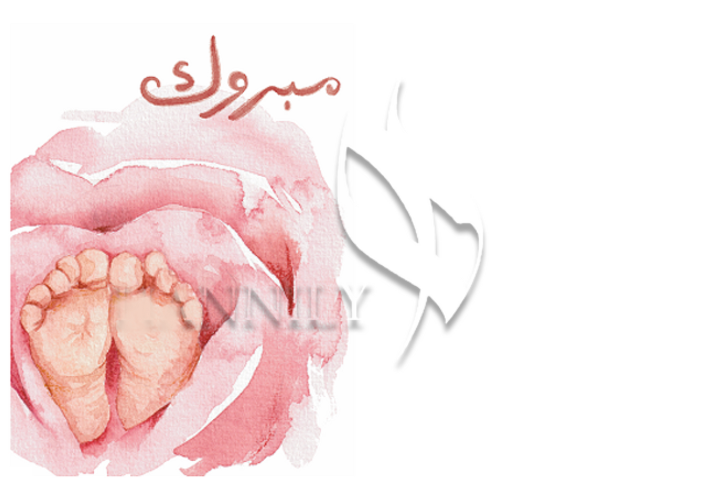 مبروك